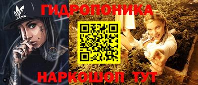 стаф Дубна
