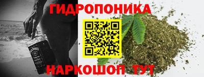 стаф Дубна