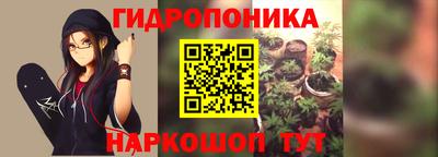 стаф Дубна
