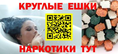 стаф Дубна