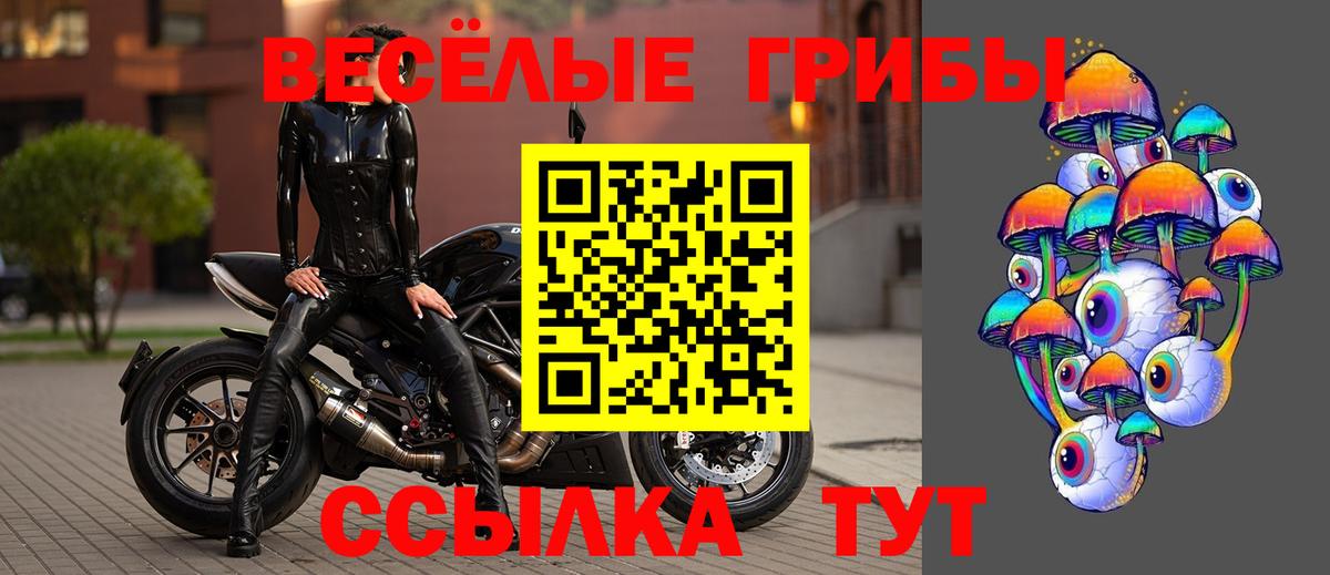 Псилоцибиновые грибы Cubensis Якутск